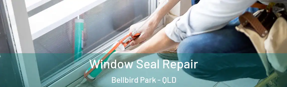 Window Seal Repair Bellbird Park - QLD
