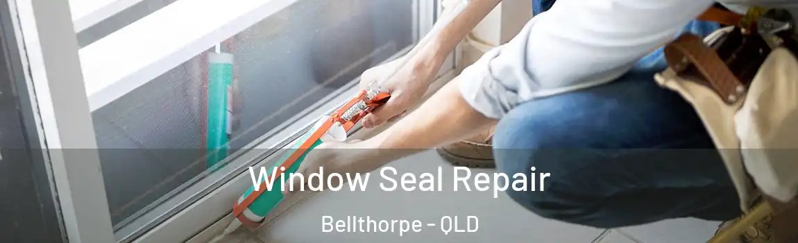 Window Seal Repair Bellthorpe - QLD