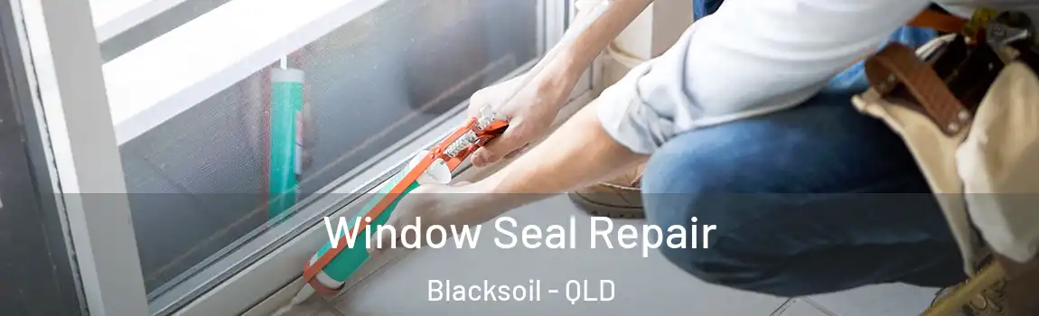 Window Seal Repair Blacksoil - QLD
