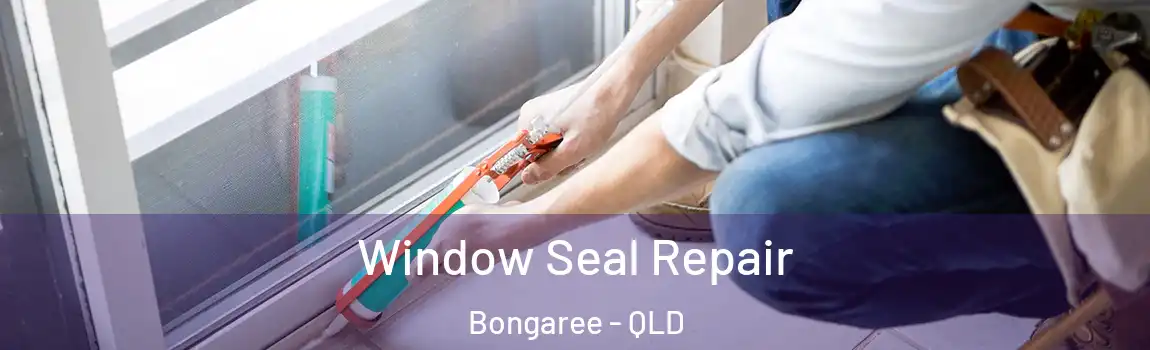 Window Seal Repair Bongaree - QLD