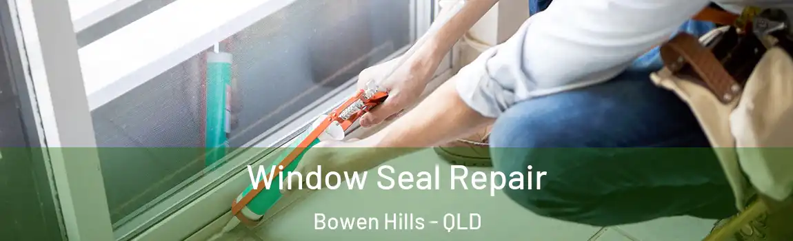  Window Seal Repair Bowen Hills - QLD