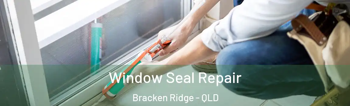 Window Seal Repair Bracken Ridge - QLD