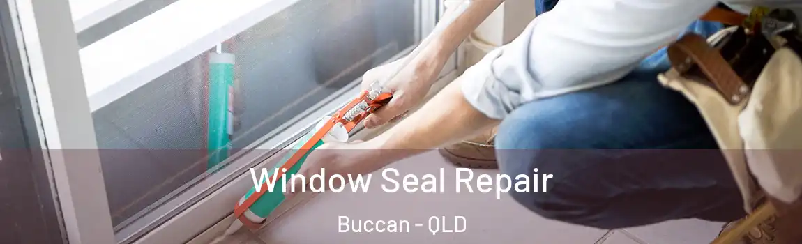 Window Seal Repair Buccan - QLD