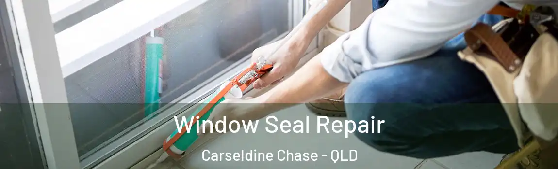 Window Seal Repair Carseldine Chase - QLD