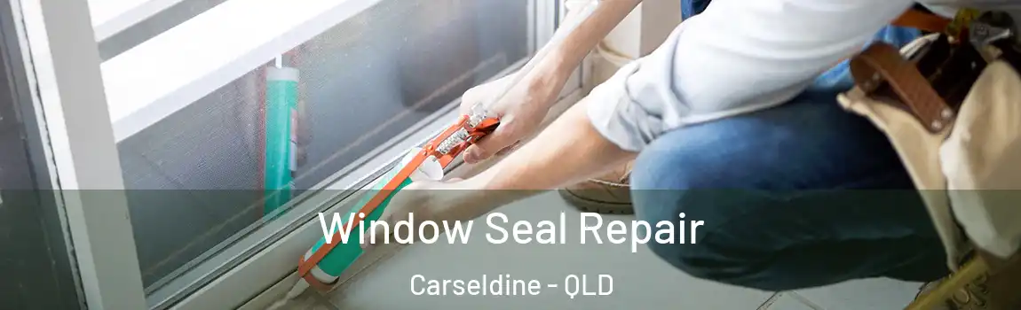 Window Seal Repair Carseldine - QLD