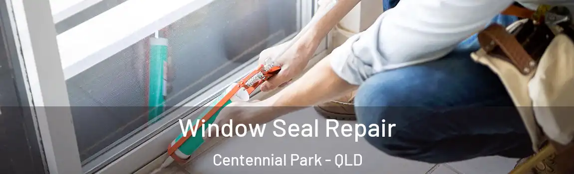  Window Seal Repair Centennial Park - QLD