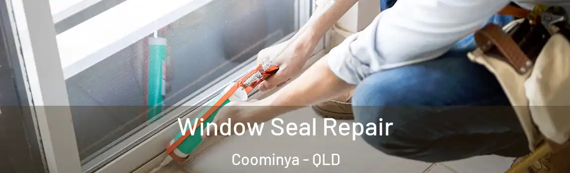 Window Seal Repair Coominya - QLD