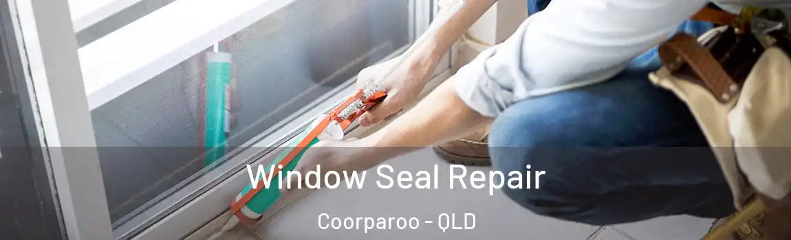 Window Seal Repair Coorparoo - QLD