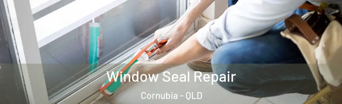 Window Seal Repair Cornubia - QLD