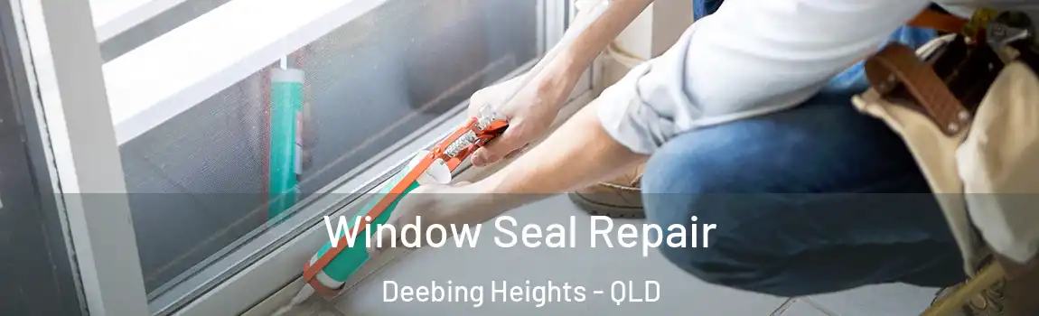 Window Seal Repair Deebing Heights - QLD