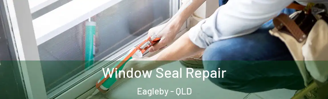 Window Seal Repair Eagleby - QLD