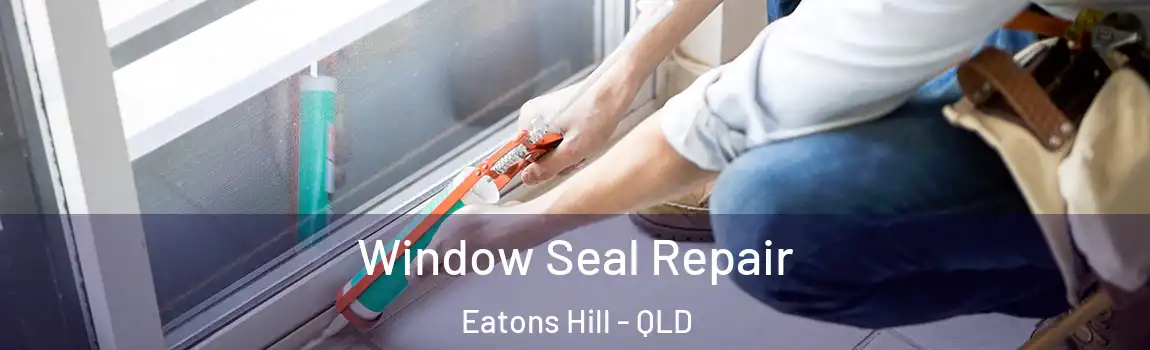 Window Seal Repair Eatons Hill - QLD