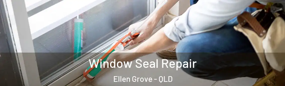 Window Seal Repair Ellen Grove - QLD