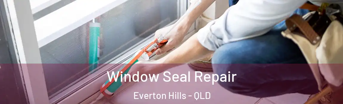 Window Seal Repair Everton Hills - QLD