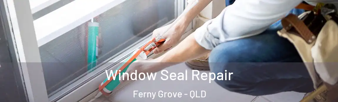  Window Seal Repair Ferny Grove - QLD