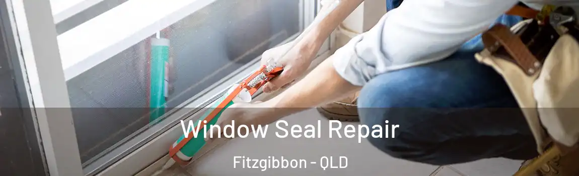  Window Seal Repair Fitzgibbon - QLD
