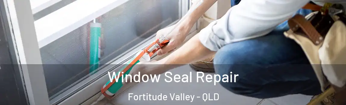Window Seal Repair Fortitude Valley - QLD
