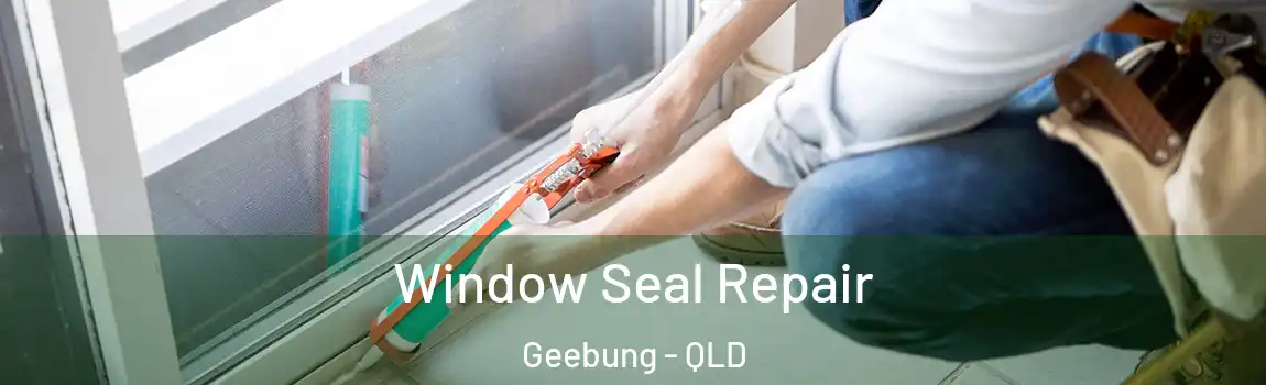 Window Seal Repair Geebung - QLD