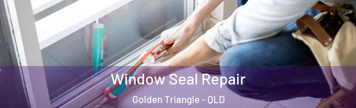 Window Seal Repair Golden Triangle - QLD