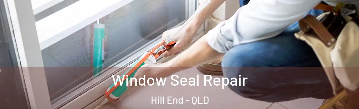 Window Seal Repair Hill End - QLD