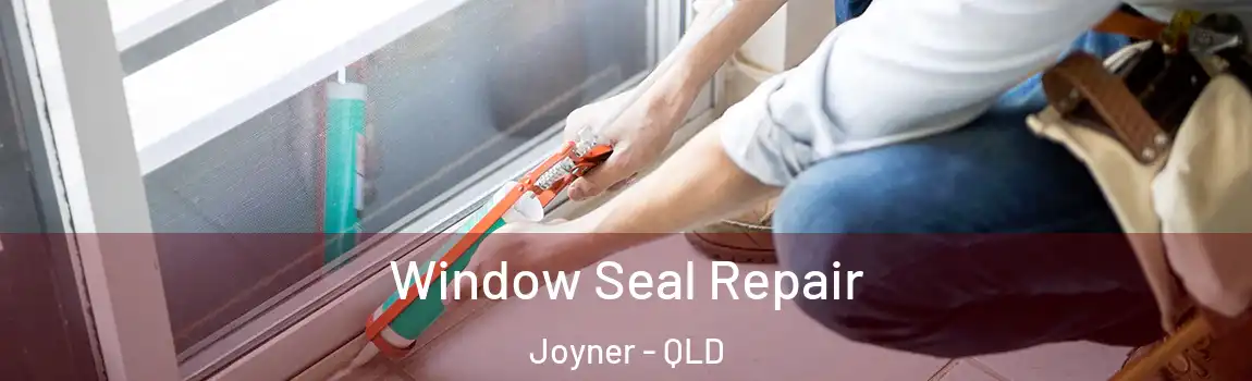 Window Seal Repair Joyner - QLD