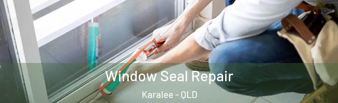 Window Seal Repair Karalee - QLD