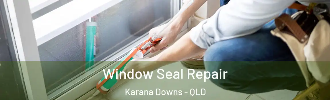  Window Seal Repair Karana Downs - QLD