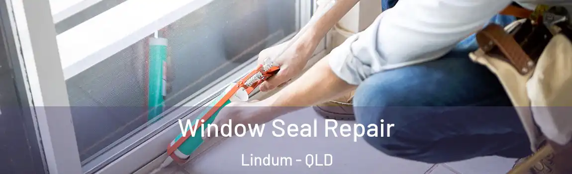 Window Seal Repair Lindum - QLD