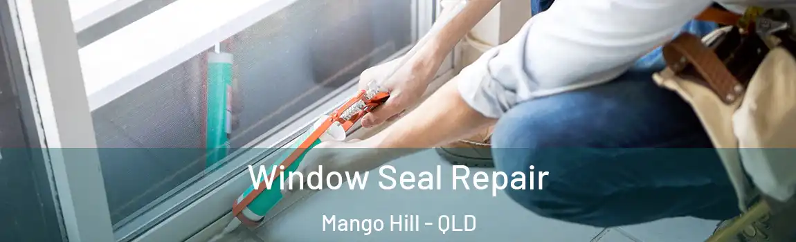 Window Seal Repair Mango Hill - QLD