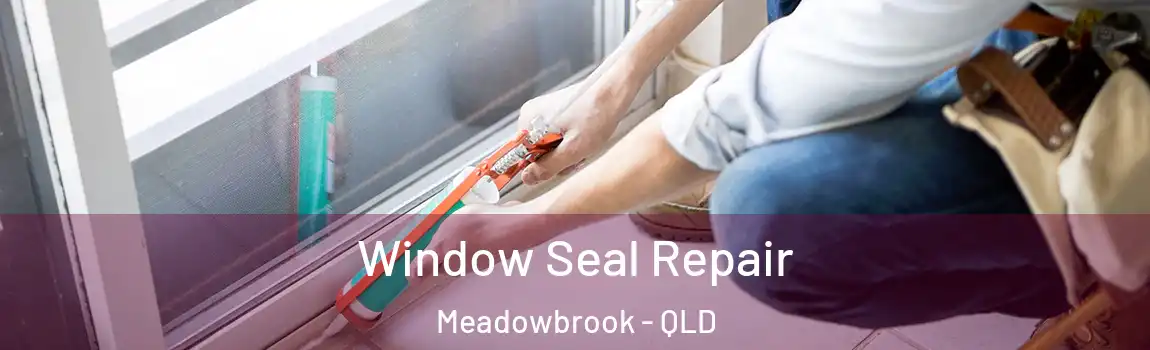 Window Seal Repair Meadowbrook - QLD