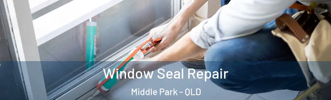 Window Seal Repair Middle Park - QLD