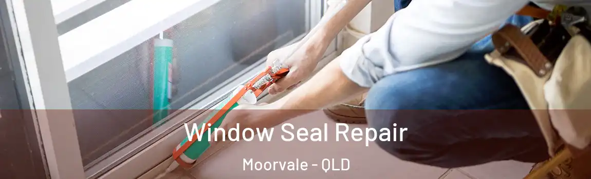Window Seal Repair Moorvale - QLD