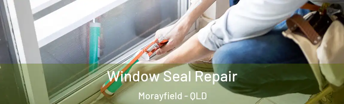 Window Seal Repair Morayfield - QLD