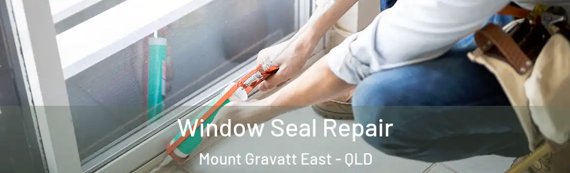 Window Seal Repair Mount Gravatt East - QLD