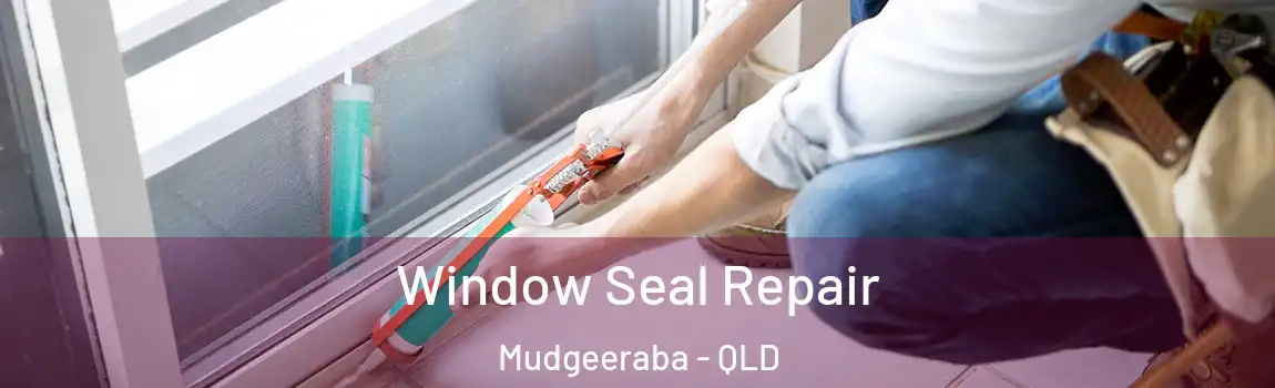 Window Seal Repair Mudgeeraba - QLD