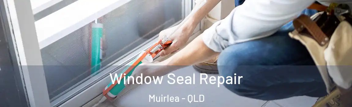 Window Seal Repair Muirlea - QLD