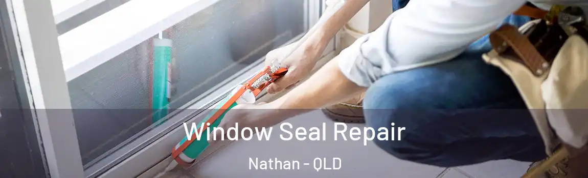 Window Seal Repair Nathan - QLD
