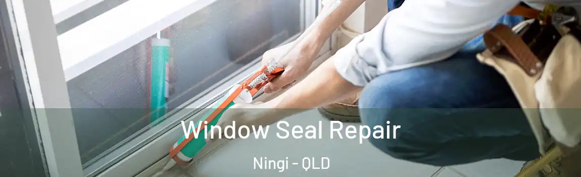Window Seal Repair Ningi - QLD