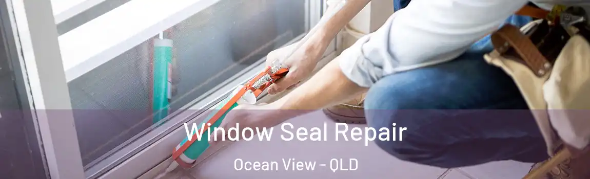 Window Seal Repair Ocean View - QLD
