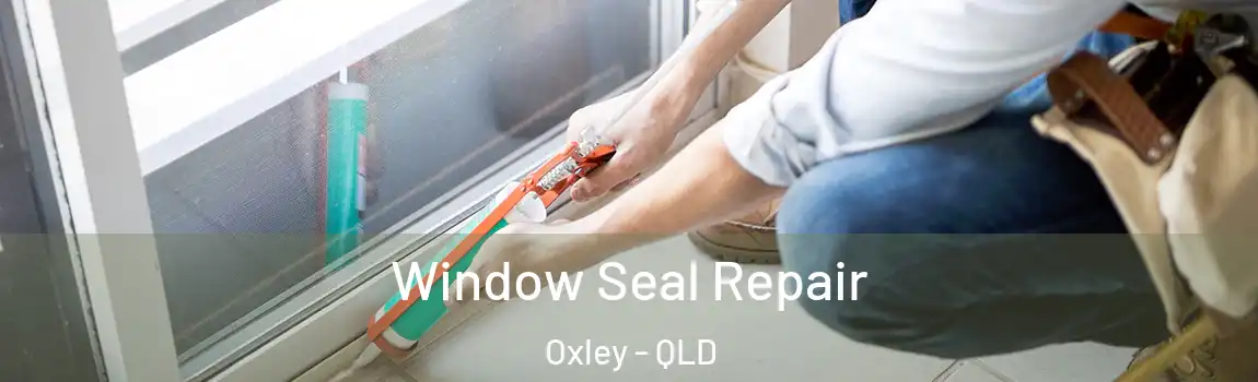  Window Seal Repair Oxley - QLD