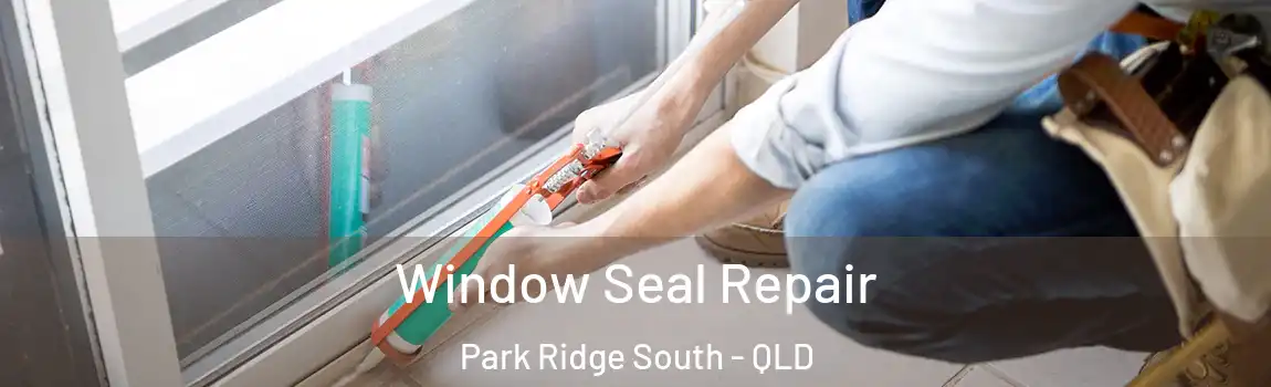 Window Seal Repair Park Ridge South - QLD