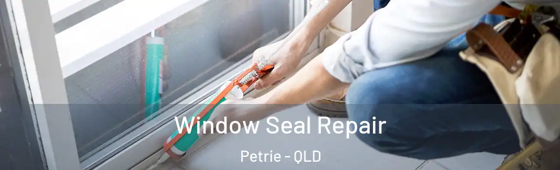  Window Seal Repair Petrie - QLD