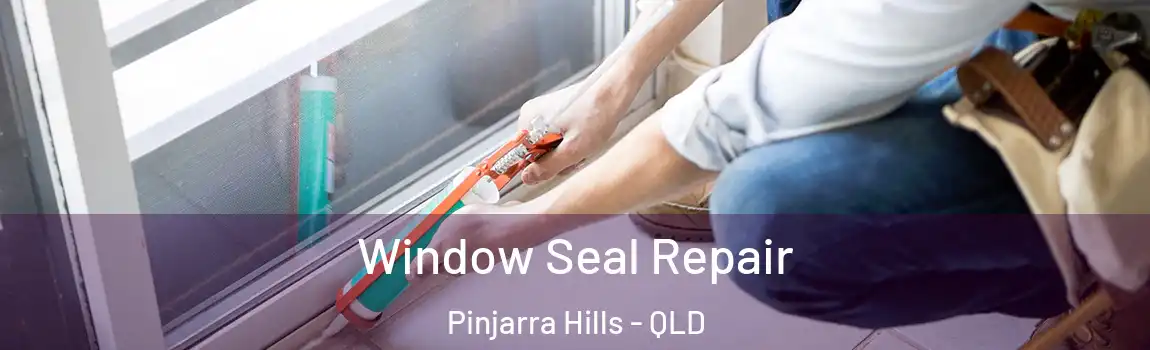  Window Seal Repair Pinjarra Hills - QLD