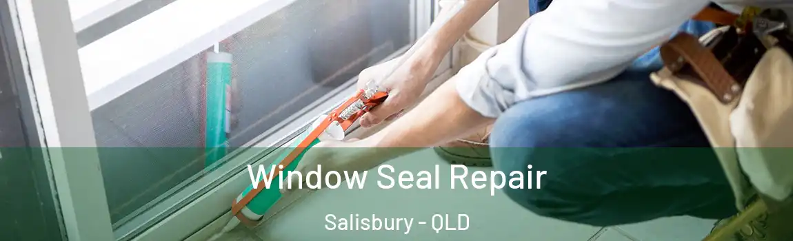 Window Seal Repair Salisbury - QLD