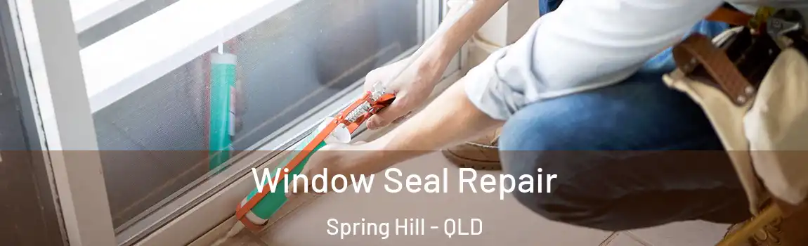 Window Seal Repair Spring Hill - QLD
