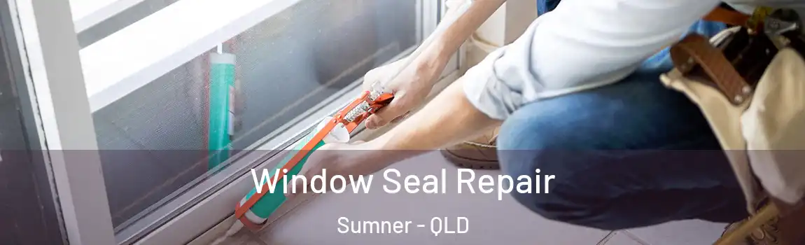Window Seal Repair Sumner - QLD