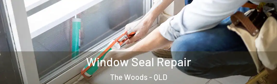 Window Seal Repair The Woods - QLD