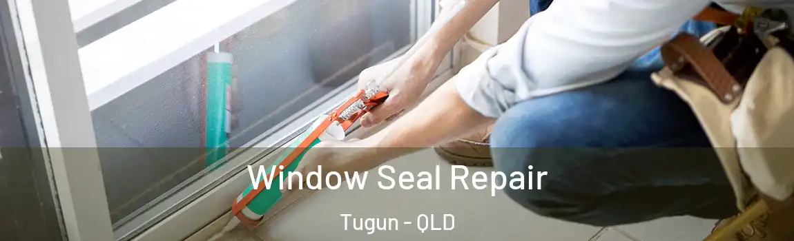 Window Seal Repair Tugun - QLD