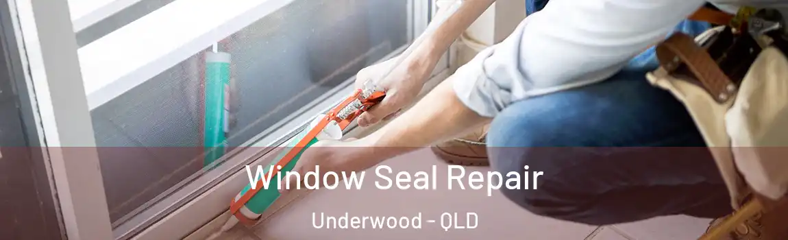 Window Seal Repair Underwood - QLD