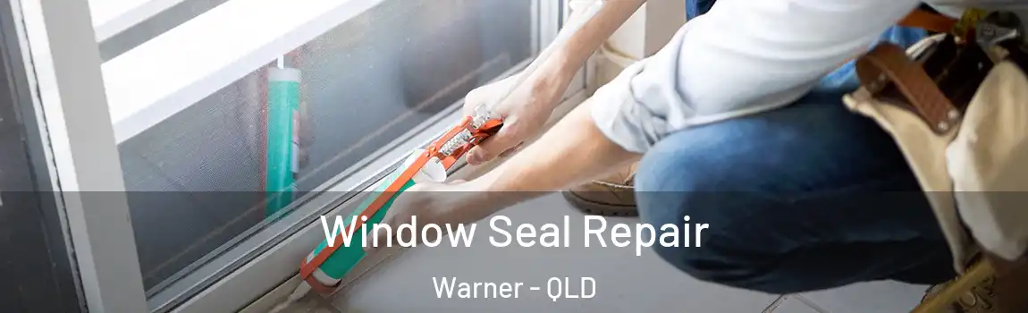 Window Seal Repair Warner - QLD